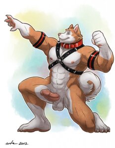 Rating: Explicit Score: 0 Tags: 2012 abs anthro balls belt biceps blue_eyes bondage_gear brown_body brown_fur canid canine canis claws collar collar_only domestic_dog e621 erection flexing foreskin fur genitals harness harness_only hi_res humanoid_genitalia humanoid_penis husky looking_at_viewer male mammal muscular muscular_anthro muscular_male nipples nordic_sled_dog nude paws pecs penis pose retracted_foreskin solo spitz tail wfa User: bunchy7s