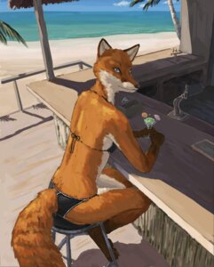 Rating: Questionable Score: 0 Tags: 2009 alcohol anthro bar barefoot beach beverage bikini biped blue_eyes brian_edwards canid canine claws clothed clothing cocktail detailed_background e621 feet female food fox high-angle_view hindpaw looking_at_viewer mammal niffad outside paws raina_(brian_edwards) red_fox sand seaside skimpy sky solo swimwear tail toe_claws toes true_fox two-piece_swimsuit water User: bunchy7s