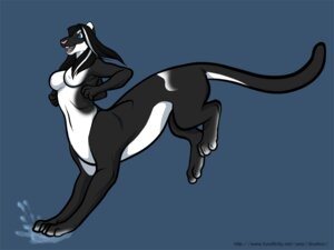 Rating: Questionable Score: 0 Tags: black_body black_fur breasts chakat dicelion digitigrade domestic_cat drift_tide e621 felid felid_taur feline felis female fur happy herm_(lore) jumping mammal mammal_taur nipple_outline paws quadruped simple_background solo splash tail taur text url water white_body white_fur User: bunchy7s