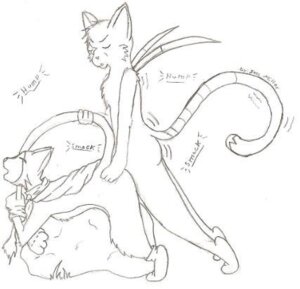 Rating: Explicit Score: 0 Tags: ambiguous_gender cait_sith_(ff) esper final_fantasy final_fantasy_vi male male/ambiguous rule34 stray tagme User: bunchy7s Rating: Explicit Score: 0 Tags: ambiguous_gender cait_sith_(ff) esper final_fantasy final_fantasy_vi male male/ambiguous rule34 stray tagme User: bunchy7s