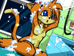 Rating: Questionable Score: 0 Tags: anthro bath biped blue_eyes blush breasts bubble chest_tuft digital_media_(artwork) domestic_cat e621 featureless_breasts felid feline felis female fur hair kneeling machine mammal nude oekaki orange_body orange_fur orange_hair robot ryou shower solo straycat tail tuft water wet whiskers User: bunchy7s