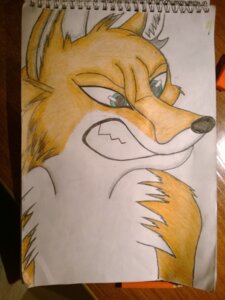 Rating: Safe Score: 0 Tags: angry anthro bust_portrait canid canine e621 fox fur grandfathered_content male mammal nude orange_body orange_fur portrait rainbowfox solo traditional_media_(artwork) white_body white_fur User: bunchy7s