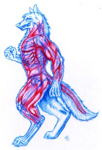 Rating: Safe Score: 0 Tags: 1993 anatomy anthro bone canid canine canis colored_pencil_(artwork) digitigrade e621 ecorche fist fur iisaw internal male mammal muscular muscular_anthro muscular_male nude pelvis raised_arm raised_fist raised_hand rib_cage side_view simple_background skeleton solo spine tail traditional_media_(artwork) translucent translucent_body visible_skeleton walking white_background wolf x-ray_view User: bunchy7s Rating: Safe Score: 0 Tags: 1993 anatomy anthro bone canid canine canis colored_pencil_(artwork) digitigrade e621 ecorche fist fur iisaw internal male mammal muscular muscular_anthro muscular_male nude pelvis raised_arm raised_fist raised_hand rib_cage side_view simple_background skeleton solo spine tail traditional_media_(artwork) translucent translucent_body visible_skeleton walking white_background wolf x-ray_view User: bunchy7s