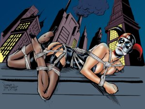 Rating: Explicit Score: 0 Tags: 1girls 2008 batman_(series) bondage bound city cloth_gag clothes dc dc_comics female female_only gag gagged garter_straps harley_quinn harley_quinn_(classic) lying mask night on_front outdoors rope_bondage rule34 shawn_van_briesen side_view solo stockings tagme white_facepaint User: bunchy7s