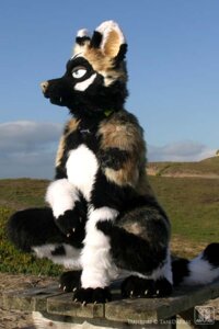 Rating: Safe Score: 0 Tags: 2009 2:3 african_wild_dog anthro canid canine clothing cloud conditional_dnp costume daiquiri_(tani_da_real) e621 female fursuit grandfathered_content mammal nature outside real sky solo tail tani_da_real User: bunchy7s Rating: Safe Score: 0 Tags: 2009 2:3 african_wild_dog anthro canid canine clothing cloud conditional_dnp costume daiquiri_(tani_da_real) e621 female fursuit grandfathered_content mammal nature outside real sky solo tail tani_da_real User: bunchy7s
