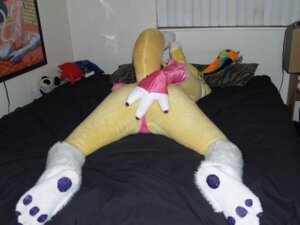 Rating: Questionable Score: 0 Tags: 4:3 anthro bandai_namco canid canine clothing costume digimon digimon_(species) e621 feet female franchii-manchii fur fursuit grandfathered_content mammal photography_(artwork) real renamon soles solo white_body white_fur yellow_body yellow_fur User: bunchy7s