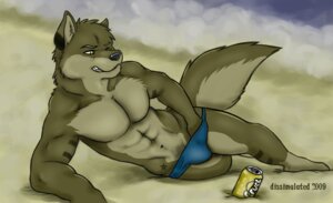 Rating: Questionable Score: 0 Tags: 2009 abs anthro beach beverage_can biceps blue_clothing blue_speedo blue_swimwear canid canine canis clothed clothing domestic_dog e621 fur male mammal muscular muscular_male outside pecs seaside skimpy solo speedo swimwear tail topless vexedlupine User: bunchy7s