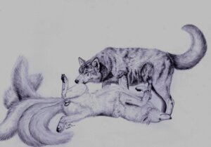 Rating: Explicit Score: 0 Tags: 2010 anatomically_correct anatomically_correct_genitalia anatomically_correct_vulva animal_genitalia animal_penis animal_vulva canid canine canine_genitalia canine_penis canine_vulva canis duo e621 erection female feral feral_on_feral genitals greyscale knot lying male male/female mammal mixxiwuff monochrome multi_tail nude on_back penis simple_background sketch spread_legs spreading tail vulva white_background wolf User: bunchy7s
