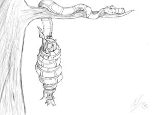 Rating: Safe Score: 0 Tags: 2013 4:3 arthropod changeling_(mlp) crossover disney duo e621 equid eyes_closed female feral friendship_is_magic hasbro horn jockbock kaa_(jungle_book) male mammal monochrome my_little_pony queen_chrysalis_(mlp) reptile scalie signature sketch sleeping snake the_jungle_book User: bunchy7s Rating: Safe Score: 0 Tags: 2013 4:3 arthropod changeling_(mlp) crossover disney duo e621 equid eyes_closed female feral friendship_is_magic hasbro horn jockbock kaa_(jungle_book) male mammal monochrome my_little_pony queen_chrysalis_(mlp) reptile scalie signature sketch sleeping snake the_jungle_book User: bunchy7s