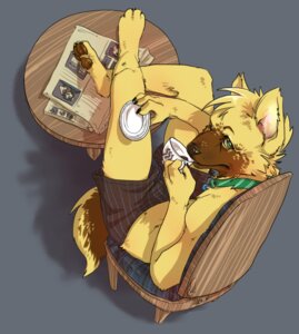 Rating: Safe Score: 0 Tags: anthro bird's-eye_view bottomwear canid canine chair clothing collar container csolti cup drinking e621 feet furniture green_eyes high-angle_view hindpaw holding_container holding_cup holding_object looking_at_viewer male mammal mitsukuni newspaper pawpads paws plate shorts solo table tail wood wood_chair wood_furniture User: bunchy7s