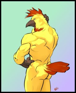 Rating: Questionable Score: 0 Tags: 2011 anthro avian beak biped bird black_border border butt chicken claws e621 galliform gradient_background hand_on_hip head_crest laser_(artist) looking_at_viewer looking_back male muscular muscular_anthro muscular_male nude phasianid pose rear_view simple_background solo standing yellow_body User: bunchy7s Rating: Questionable Score: 0 Tags: 2011 anthro avian beak biped bird black_border border butt chicken claws e621 galliform gradient_background hand_on_hip head_crest laser_(artist) looking_at_viewer looking_back male muscular muscular_anthro muscular_male nude phasianid pose rear_view simple_background solo standing yellow_body User: bunchy7s