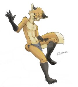 Rating: Safe Score: 0 Tags: 2007 anthro bottomwear canid canine clothed clothing e621 fox gloves_(marking) kiwaku loincloth male mammal markings red_fox simple_background skimpy solo tail true_fox white_background User: bunchy7s Rating: Safe Score: 0 Tags: 2007 anthro bottomwear canid canine clothed clothing e621 fox gloves_(marking) kiwaku loincloth male mammal markings red_fox simple_background skimpy solo tail true_fox white_background User: bunchy7s