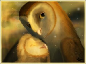 Rating: Safe Score: 0 Tags: absurd_res avian barn_owl bird black_border border duo e621 eglantine_(gogh) female feral gabriellegrotte guardians_of_ga'hoole hi_res male owl soren_(gogh) tyto tytonid western_barn_owl User: bunchy7s