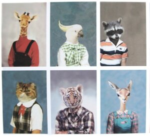 Rating: Safe Score: 0 Tags: animal_head animal_humanoid antelope anthro avian bird bovid cacatua class_photo clothed clothing cockatoo collar domestic_cat dress e621 felid feline felis female for_a_head giraffe giraffid grandfathered_content group horn humanoid looking_at_viewer male mammal ossicone overalls pantherine parrot plaid pose procyonid raccoon real shopped sitting smile sulphur-crested_cockatoo third-party_edit tiger unknown_artist what User: bunchy7s