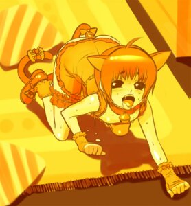 Rating: Explicit Score: 0 Tags: anal animal_ears ass buttplug buttplug_tail cat_boy cat_ears catboy collar crossdressing cum femboy garter garters gloves inf male rule34 see-through sweat trap User: bunchy7s