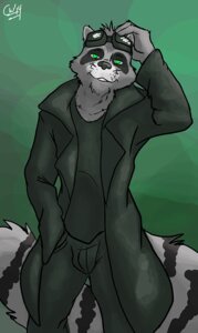 Rating: Safe Score: 0 Tags: anthro biped cameronwolfe clothing coat e621 eyewear fluffy fluffy_tail fur gaze goggles green_eyes grey_body grey_fur looking_at_viewer lukas male mammal procyonid raccoon smile smirk solo standing tail topwear trenchcoat User: bunchy7s