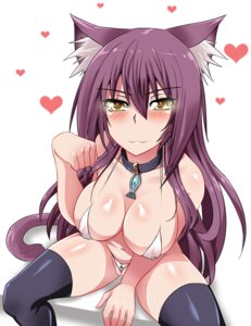 Rating: Explicit Score: 0 Tags: alexandraflordicharlotte animal_humanoid big_breasts bikini biped blush breasts camel_toe cat_humanoid cat_tail clothed clothing collar e621 felid felid_humanoid feline feline_humanoid female female_humanoid genitals hair heart_symbol humanoid legwear mammal mammal_humanoid nipple_outline purple_hair pussy_floss skimpy solo swimwear thigh_highs two-piece_swimsuit vulva yellow_eyes User: bunchy7s