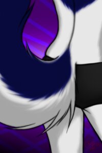 Rating: Safe Score: 0 Tags: 2013 2:3 ambiguous_gender anthro black_clothing black_underwear blue_markings butt butt_shot canid canine canis chiroina close-up clothing e621 fur hi_res mammal markings solo underwear white_body white_fur wolf User: bunchy7s