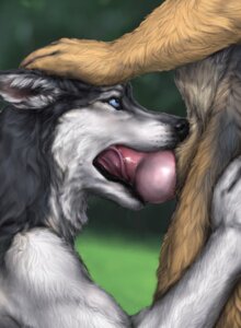 Rating: Explicit Score: 0 Tags: 2012 abstract_background ambiguous_gender anakuro animal_genitalia animal_penis anthro big_penis black_body black_fur black_lips black_nose blue_eyes bodily_fluids brown_body brown_fur bust_portrait canid canine canine_genitalia canine_penis canis close-up crotch_shot deep_throat digital_media_(artwork) domestic_dog duo e621 ears_back erection faceless_character faceless_male fellatio fluffy fur genital_close-up genitals german_shepherd hand_on_head herding_dog husky inner_ear_fluff knot knotting licking lips long_mouth looking_up male male/ambiguous male/male male_(lore) male_penetrated male_penetrating male_penetrating_male mammal no_sclera nordic_sled_dog nude oral oral_penetration outside pastoral_dog penetration penile penis penis_close-up petting pivoted_ears portrait realistic redux saliva sex sheath side_view simple_background snout spitz standing teeth tongue tongue_out tuft vein wet whiskers white_body white_fur User: bunchy7s Rating: Explicit Score: 0 Tags: 2012 abstract_background ambiguous_gender anakuro animal_genitalia animal_penis anthro big_penis black_body black_fur black_lips black_nose blue_eyes bodily_fluids brown_body brown_fur bust_portrait canid canine canine_genitalia canine_penis canis close-up crotch_shot deep_throat digital_media_(artwork) domestic_dog duo e621 ears_back erection faceless_character faceless_male fellatio fluffy fur genital_close-up genitals german_shepherd hand_on_head herding_dog husky inner_ear_fluff knot knotting licking lips long_mouth looking_up male male/ambiguous male/male male_(lore) male_penetrated male_penetrating male_penetrating_male mammal no_sclera nordic_sled_dog nude oral oral_penetration outside pastoral_dog penetration penile penis penis_close-up petting pivoted_ears portrait realistic redux saliva sex sheath side_view simple_background snout spitz standing teeth tongue tongue_out tuft vein wet whiskers white_body white_fur User: bunchy7s
