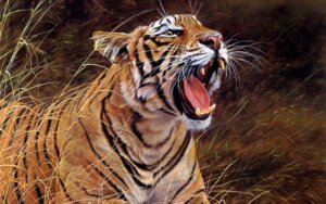 Rating: Safe Score: 0 Tags: 16:10 ambiguous_gender e621 fangs felid feral grass hi_res mammal open_mouth pantherine photorealism plant realistic solo stripes teeth tiger tongue unknown_artist wallpaper whiskers widescreen User: bunchy7s Rating: Safe Score: 0 Tags: 16:10 ambiguous_gender e621 fangs felid feral grass hi_res mammal open_mouth pantherine photorealism plant realistic solo stripes teeth tiger tongue unknown_artist wallpaper whiskers widescreen User: bunchy7s