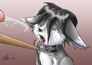 Rating: Explicit Score: 0 Tags: anthro bondage bukkake canine collar cum cum_on_face fur furry gay green_eyes leash male nude penis rule34 strider_orion wolf User: bunchy7s Rating: Explicit Score: 0 Tags: anthro bondage bukkake canine collar cum cum_on_face fur furry gay green_eyes leash male nude penis rule34 strider_orion wolf User: bunchy7s