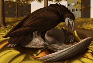 Rating: Explicit Score: 0 Tags: 2011 ambiguous/ambiguous ambiguous_gender animal_genitalia avian avian_feet beak bird bodily_fluids breath cere_(anatomy) cloaca cloacal cloacal_kiss columbid corvid corvus_(genus) cum duo e621 feathered_wings feathers feet feral feral_on_feral genital_fluids genitals orgasm oscine outside panting passerine pigeon rock_dove rook_(bird) sex talons toes wairu wings User: bunchy7s
