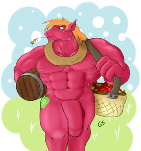 Rating: Explicit Score: 0 Tags: anthro anthrofied big_macintosh_(mlp) earth_pony equine friendship_is_magic horse huge_muscles male male_only muscles my_little_pony pony rule34 smooth_skin tagme User: bunchy7s