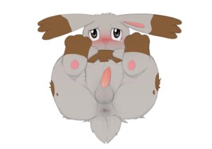 Rating: Explicit Score: 0 Tags: 2014 3_toes anus backsack balls barefoot blush bodily_fluids bunnelby butt crying digital_media_(artwork) dreiker e621 erection feet feral fur generation_6_pokemon genitals hand_on_belly lagomorph long_ears looking_at_viewer lying male mammal nintendo nude on_back on_ground pawpads paws penis pokemon pokemon_(species) presenting presenting_hindquarters raised_leg simple_background solo tears toes white_background User: bunchy7s Rating: Explicit Score: 0 Tags: 2014 3_toes anus backsack balls barefoot blush bodily_fluids bunnelby butt crying digital_media_(artwork) dreiker e621 erection feet feral fur generation_6_pokemon genitals hand_on_belly lagomorph long_ears looking_at_viewer lying male mammal nintendo nude on_back on_ground pawpads paws penis pokemon pokemon_(species) presenting presenting_hindquarters raised_leg simple_background solo tears toes white_background User: bunchy7s