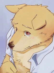 Rating: Safe Score: 0 Tags: 3:4 anthro blush bodily_fluids brown_nose canid canine canis clothing domestic_dog e621 fluffy fur kotori looking_at_viewer male mammal orange_body orange_fur red_eyes shirt snout solo tears topwear undressing white_clothing white_topwear User: bunchy7s Rating: Safe Score: 0 Tags: 3:4 anthro blush bodily_fluids brown_nose canid canine canis clothing domestic_dog e621 fluffy fur kotori looking_at_viewer male mammal orange_body orange_fur red_eyes shirt snout solo tears topwear undressing white_clothing white_topwear User: bunchy7s