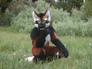 Rating: Safe Score: 0 Tags: 4:3 anthro canid canine canis clothing costume e621 fursuit grandfathered_content green_eyes looking_at_viewer male mammal mixed_media nature outside photo_background photography_(artwork) real solo unknown_artist wolf zeke_wolf User: bunchy7s Rating: Safe Score: 0 Tags: 4:3 anthro canid canine canis clothing costume e621 fursuit grandfathered_content green_eyes looking_at_viewer male mammal mixed_media nature outside photo_background photography_(artwork) real solo unknown_artist wolf zeke_wolf User: bunchy7s