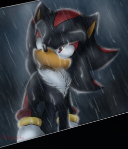 Rating: Safe Score: 0 Tags: anthro biped black_body black_fur black_nose chest_tuft clothing e621 eulipotyphlan fur gloves handwear hedgehog hi_res male mammal mayasacha outside raining red_eyes sega shadow shadow_the_hedgehog solo sonic_the_hedgehog_(series) standing tuft unknown_artist User: bunchy7s