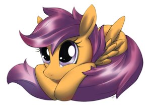 Rating: Safe Score: 0 Tags: 2011 big_eyes brown_body brown_fur daww e621 equid equine feathered_wings feathers female feral friendship_is_magic fur hair hands_on_own_tail hands_on_tail hasbro mammal mirapony my_little_pony mythological_creature mythological_equine mythology orange_body orange_feathers orange_fur pegasus purple_eyes purple_hair scootaloo_(mlp) simple_background sitting solo tail white_background wings young young_feral User: bunchy7s Rating: Safe Score: 0 Tags: 2011 big_eyes brown_body brown_fur daww e621 equid equine feathered_wings feathers female feral friendship_is_magic fur hair hands_on_own_tail hands_on_tail hasbro mammal mirapony my_little_pony mythological_creature mythological_equine mythology orange_body orange_feathers orange_fur pegasus purple_eyes purple_hair scootaloo_(mlp) simple_background sitting solo tail white_background wings young young_feral User: bunchy7s