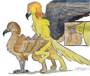 Rating: Explicit Score: 0 Tags: 2012 all_fours avian balls beak bodily_fluids close-up cum cum_in_vagina cum_inside duo e621 erection eyes_closed feathered_wings feathers female female_penetrated feral feral_on_feral from_behind_position genital_fluids genitals gryphon male male/female male_penetrating male_penetrating_female mythological_avian mythological_creature mythology nude penetration penile penile_penetration penis penis_in_vagina roz_gibson sex vaginal vaginal_penetration vulva wings User: bunchy7s