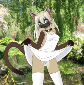 Rating: Questionable Score: 0 Tags: annonymouse anthro blonde_hair blue_eyes clothed clothing clothing_lift collar darika_somsri domestic_cat dress dress_lift e621 felid feline felis female hair hi_res looking_at_viewer mammal mixed_media nature outside photo_background photography_(artwork) siamese_cat solo User: bunchy7s Rating: Questionable Score: 0 Tags: annonymouse anthro blonde_hair blue_eyes clothed clothing clothing_lift collar darika_somsri domestic_cat dress dress_lift e621 felid feline felis female hair hi_res looking_at_viewer mammal mixed_media nature outside photo_background photography_(artwork) siamese_cat solo User: bunchy7s