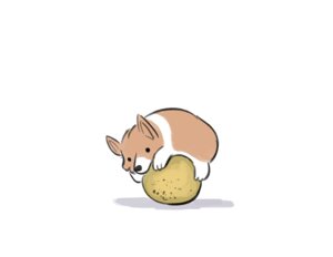 Rating: Safe Score: 0 Tags: 2012 ambiguous_gender canid canine canis cantaloupe domestic_dog e621 food fruit herding_dog hug mammal melon pastoral_dog plant simple_background solo thewondercat welsh_corgi white_background User: bunchy7s