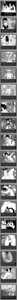 Rating: Explicit Score: 0 Tags: absurd_res adventure anal anal_penetration anthro apple_inc. bad_metadata bdsm black_and_white bodily_fluids bondage bound canid canine canis comic cum desktop digital_media_(artwork) domestic_dog duo e621 english_text erection eyes_closed fantasy forced genital_fluids genitals hi_res long_image machine macos male mammal mask microsoft_paint_(artwork) missing_sample monochrome multiple_images oekaki penetration penile penis penis_milking raccoon_dog science_fiction sex sex_toy shinokorosha smoking solo story tail tall_image tanuki technophilia text toying_partner User: bunchy7s