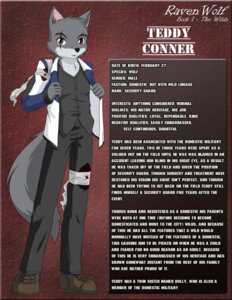 Rating: Safe Score: 0 Tags: abstract_background anthro bandage biped black_bottomwear black_clothing black_nose black_pants blood bodily_fluids bottomwear brown_clothing brown_eyes brown_footwear brown_shoes canid canine canis clothed clothing e621 english_text footwear fur grey_body grey_fur jacket kurapika looking_at_viewer male mammal military model_sheet pants raven_wolf scar shoes simple_background soldier solo standing teddy_conner text topwear vest warrior wolf User: bunchy7s