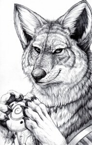 Rating: Safe Score: 0 Tags: 2008 5_fingers anthro bust_portrait canid canine canis claws e621 fingers flask front_view fur greyscale hibbary holding_object indian jewelry looking_at_viewer male mammal monochrome musical_instrument necklace ocarina portrait simple_background smile solo whiskers white_background wind_instrument wolf User: bunchy7s Rating: Safe Score: 0 Tags: 2008 5_fingers anthro bust_portrait canid canine canis claws e621 fingers flask front_view fur greyscale hibbary holding_object indian jewelry looking_at_viewer male mammal monochrome musical_instrument necklace ocarina portrait simple_background smile solo whiskers white_background wind_instrument wolf User: bunchy7s