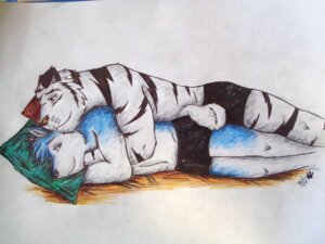 Rating: Questionable Score: 0 Tags: 2009 4:3 anthro bed black_body black_fur black_stripes blackheart_mx blue_body blue_fur blue_hair canid canine canis clothed clothing cuddling duo e621 felid fur furniture hair leucistic lying male male/male mammal multicolored_body multicolored_fur on_bed on_side pantherine pillow simple_background smile spooning stripes tiger topless traditional_media_(artwork) two_tone_body two_tone_fur underwear wallpaper white_background white_body white_fur wolf year User: bunchy7s