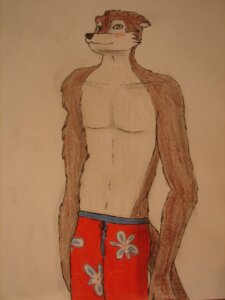 Rating: Questionable Score: 0 Tags: 3:4 absurd_res anthro blue_eyes blush brown_body brown_fur clothed clothing dribble_(artist) e621 english_text fur hi_res looking_at_viewer male mammal mustelid otter solo swimming_trunks swimwear tail text topless User: bunchy7s