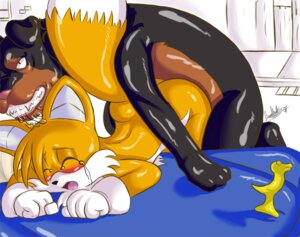 Rating: Explicit Score: 0 Tags: anthro blush canine closed_eyes dog doggy_style fox fur furry furry_only interspecies male male_only mammal multiple_males no_humans nude rule34 sex sonic_(series) straight_hair tagme tails tails_the_fox tear yaoi User: bunchy7s Rating: Explicit Score: 0 Tags: anthro blush canine closed_eyes dog doggy_style fox fur furry furry_only interspecies male male_only mammal multiple_males no_humans nude rule34 sex sonic_(series) straight_hair tagme tails tails_the_fox tear yaoi User: bunchy7s
