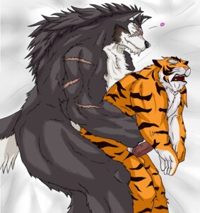 Rating: Explicit Score: 0 Tags: anthro canine chocobo4869 male male_only muscular muscular_male penis raihi rouen_(shining) rule34 scar sega shining_(series) shining_tear_x_wind shining_wind tiger wolf yaoi User: bunchy7s