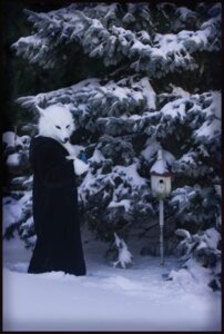 Rating: Safe Score: 0 Tags: ambiguous_gender anthro avian bird birdhouse canid canine canis clothing costume duo e621 fursuit grandfathered_content mammal outside plant qarrezel real robe snow solo_focus tree wolf wood User: bunchy7s