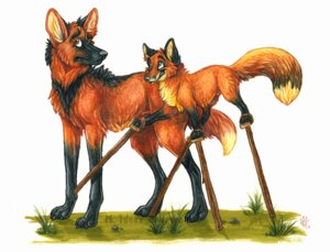 Rating: Safe Score: 0 Tags: ambiguous_gender black_body black_fur black_nose brown_body brown_eyes brown_fur canid canine canis claws detailed dipstick_tail domestic_dog duo e621 feral fox fur grass green_eyes humor idess leg_markings mammal maned_wolf markings multicolored_tail nude orange_body orange_fur outside plant red_fox side_view simple_background size_difference smile socks_(marking) stilts tail tail_markings true_fox walking white_background User: bunchy7s
