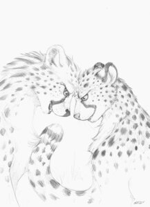 Rating: Safe Score: 0 Tags: 2010 ambiguous_gender anthro cheetah duo e621 felid feline graphite_(artwork) greyscale hi_res iggi mammal monochrome nude simple_background sketch tail traditional_media_(artwork) white_background User: bunchy7s Rating: Safe Score: 0 Tags: 2010 ambiguous_gender anthro cheetah duo e621 felid feline graphite_(artwork) greyscale hi_res iggi mammal monochrome nude simple_background sketch tail traditional_media_(artwork) white_background User: bunchy7s