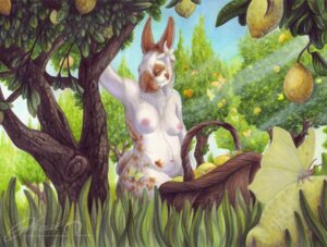 Rating: Questionable Score: 0 Tags: accessory areola bloodhound_omega breasts casual_nudity chest_tuft conditional_dnp detailed_background e621 felid female flower flower_in_hair fur hair hair_accessory lagomorph leporid mammal nature navel nipples outdoor_nudity outside pink_areola pink_nipples pink_nose plant rabbit raised_arm solo spots thick_thighs tree tuft white_body white_fur User: bunchy7s