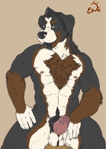 Rating: Explicit Score: 0 Tags: abs anthro ball_tuft balls beard bernese_mountain_dog biceps big_muscles big_penis biped black_body black_fur black_hair black_nose body_hair brown_body brown_fur canid canine canis chest_tuft claws domestic_dog e621 erection exawolf facial_hair foreskin fur genitals glans goatee green_eyes hair happy_trail looking_at_viewer male mammal molosser mountain_dog muscular muscular_anthro muscular_male nipples nude pecs penis pose pubes retracted_foreskin simple_background solo standing swiss_mountain_dog tan_background tuft vein white_body white_fur User: bunchy7s Rating: Explicit Score: 0 Tags: abs anthro ball_tuft balls beard bernese_mountain_dog biceps big_muscles big_penis biped black_body black_fur black_hair black_nose body_hair brown_body brown_fur canid canine canis chest_tuft claws domestic_dog e621 erection exawolf facial_hair foreskin fur genitals glans goatee green_eyes hair happy_trail looking_at_viewer male mammal molosser mountain_dog muscular muscular_anthro muscular_male nipples nude pecs penis pose pubes retracted_foreskin simple_background solo standing swiss_mountain_dog tan_background tuft vein white_body white_fur User: bunchy7s