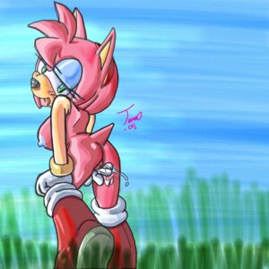Rating: Explicit Score: 0 Tags: 2005 amy_rose anthro beige_skin color female female_only fur furry hedgehog pink_fur rule34 sega skin solo sonic_(series) straight_hair User: bunchy7s Rating: Explicit Score: 0 Tags: 2005 amy_rose anthro beige_skin color female female_only fur furry hedgehog pink_fur rule34 sega skin solo sonic_(series) straight_hair User: bunchy7s