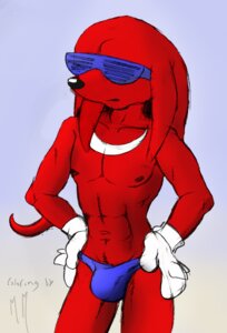Rating: Explicit Score: 0 Tags: anthro brainsister bulge clothed clothing detailed_bulge e621 echidna english_text eyewear genital_outline knuckles_the_echidna male mammal mcmeow monotreme muscular muscular_anthro muscular_male nipples penis_outline sega shutter_shades solo sonic_the_hedgehog_(series) speedo sunglasses swimwear tail text topless User: bunchy7s