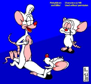 Rating: Explicit Score: 0 Tags: 2000 female pinky pinky_and_the_brain rule34 sex tagme the_brain User: bunchy7s